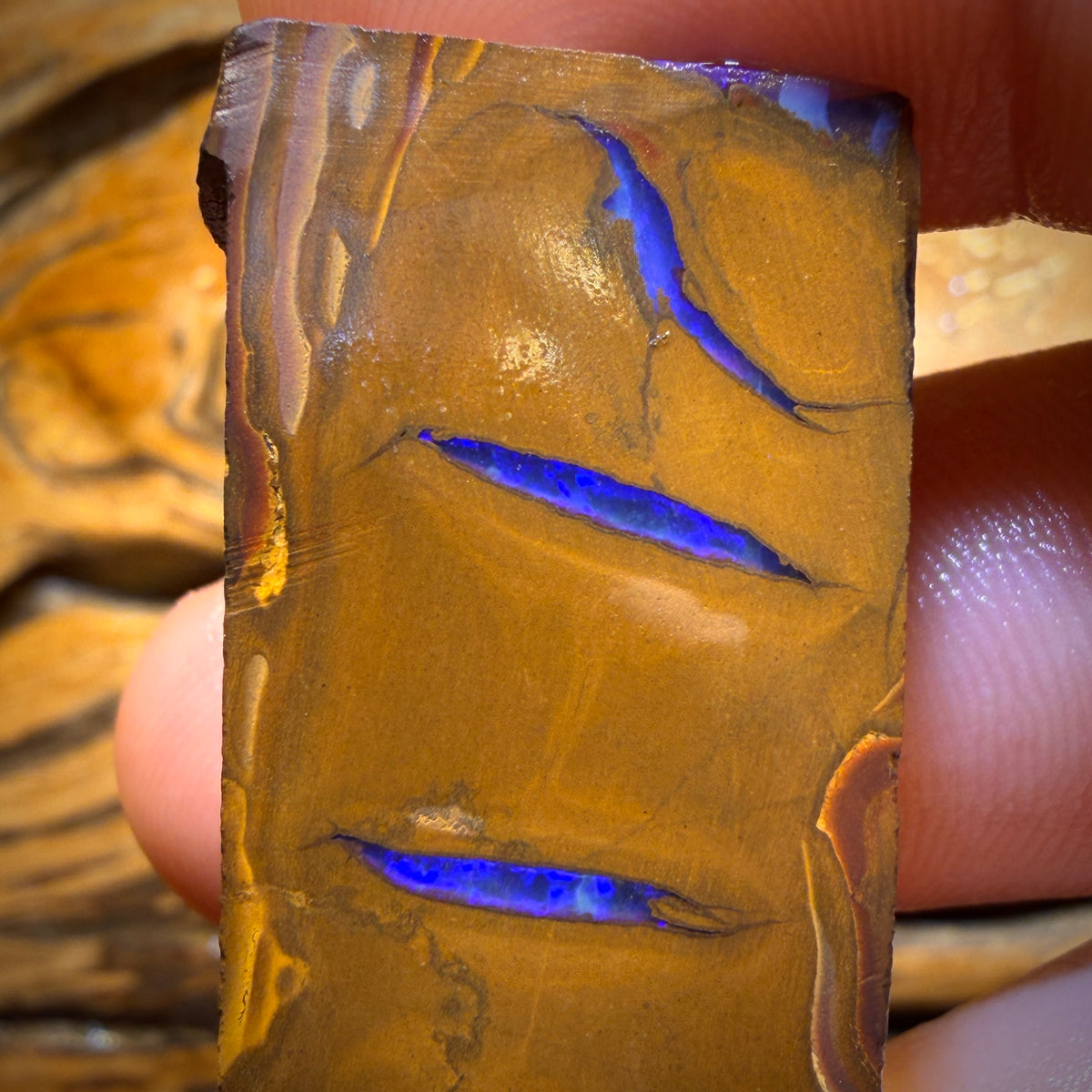124.7cts - Queensland Boulder Opal Rough Preform from Duck Creek