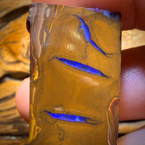 124.7cts - Queensland Boulder Opal Rough Preform from Duck Creek