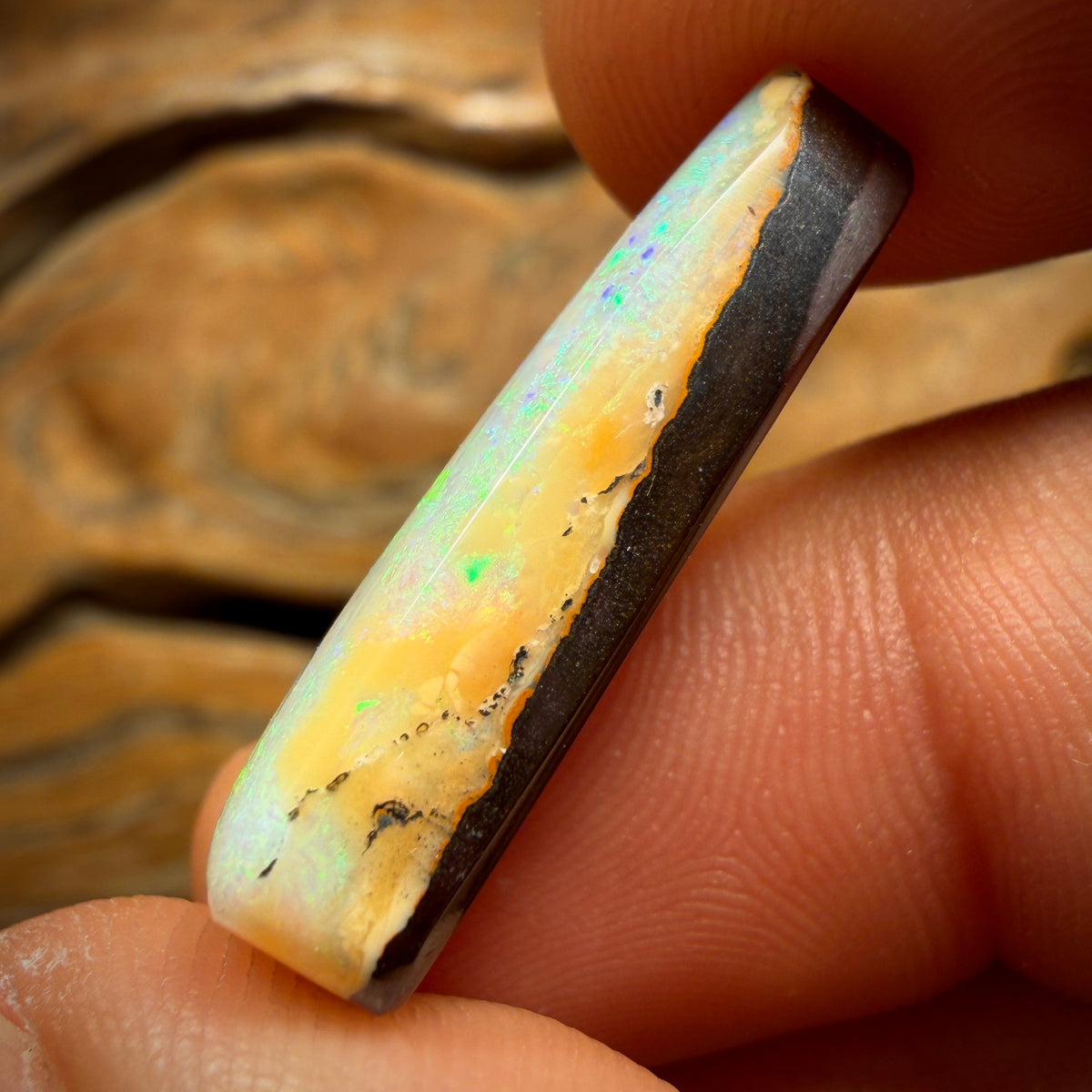 18.1cts - Gem Queensland Boulder Opal. Australian Opal