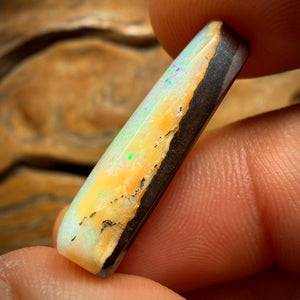 18.1cts - Gem Queensland Boulder Opal. Australian Opal