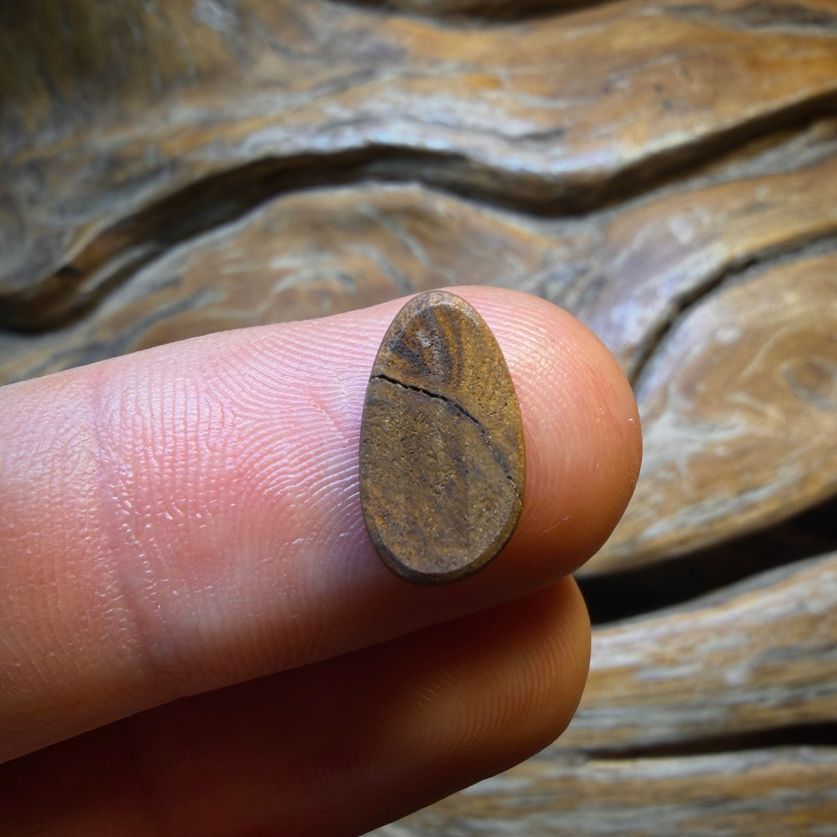 🔨 AUCTION 🔨 No Reserve 2.15cts - Australian Boulder Opal Doublet