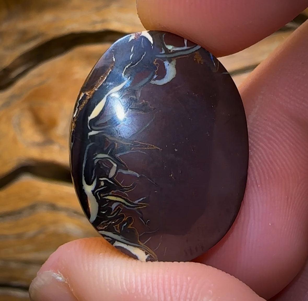 Auction Fall-Through = Your Gain! 🔥 Now More Than 50% Off RRP 🚨 51.8cts - Queensland Boulder Opal from Koroit