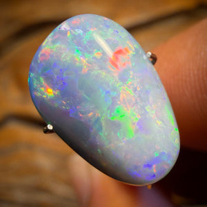 7.5cts - Rare Fossil Shell Australian Opal Doublet