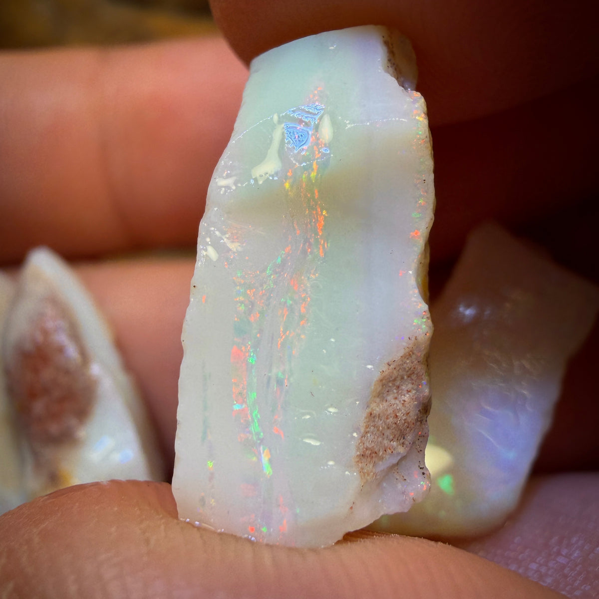 🔨 AUCTION 🔨 44.5cts - 5x South Australian White Opal Rough Parcel