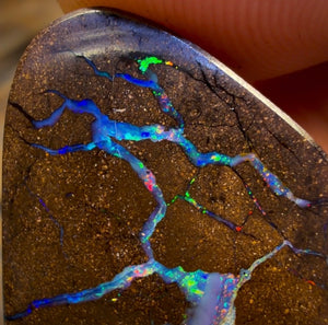 31.2cts - Queensland Boulder Seam Opal. Multicolours!
