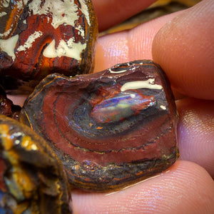 🔨 AUCTION 🔨 465cts - 11x Yowah Nut Rough Opal Parcel. Australian Boulder Opal