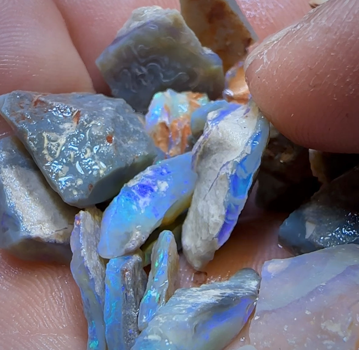 103.5cts - 29x Lightning Ridge Opal Rough Parcel