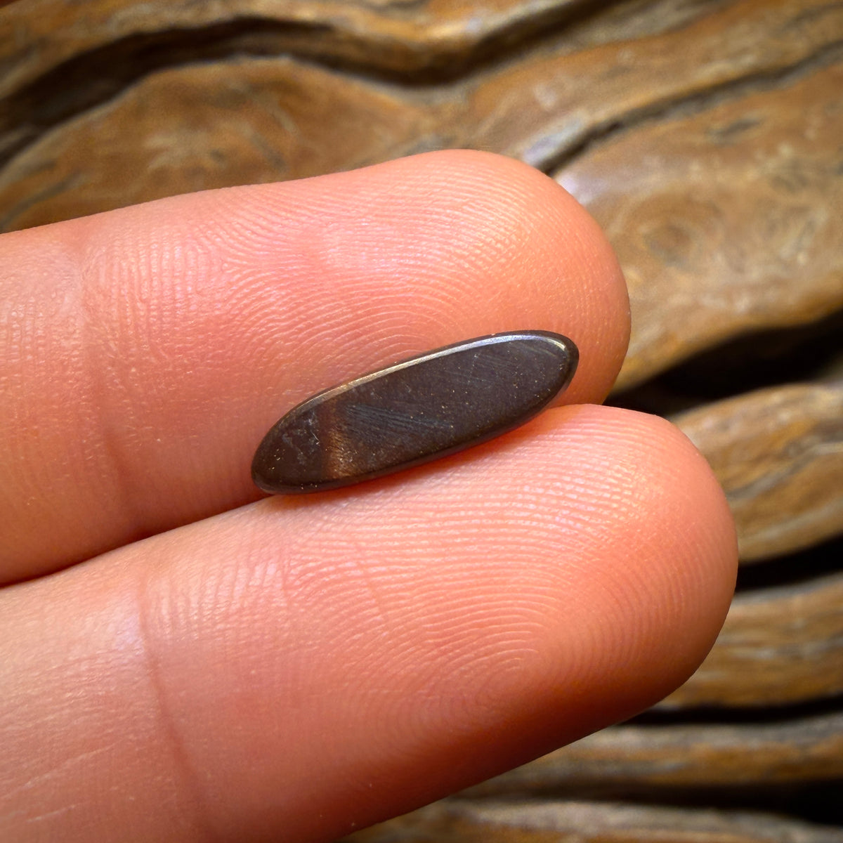 1.6cts - “Solar Flare” Australian Boulder Opal Doublet