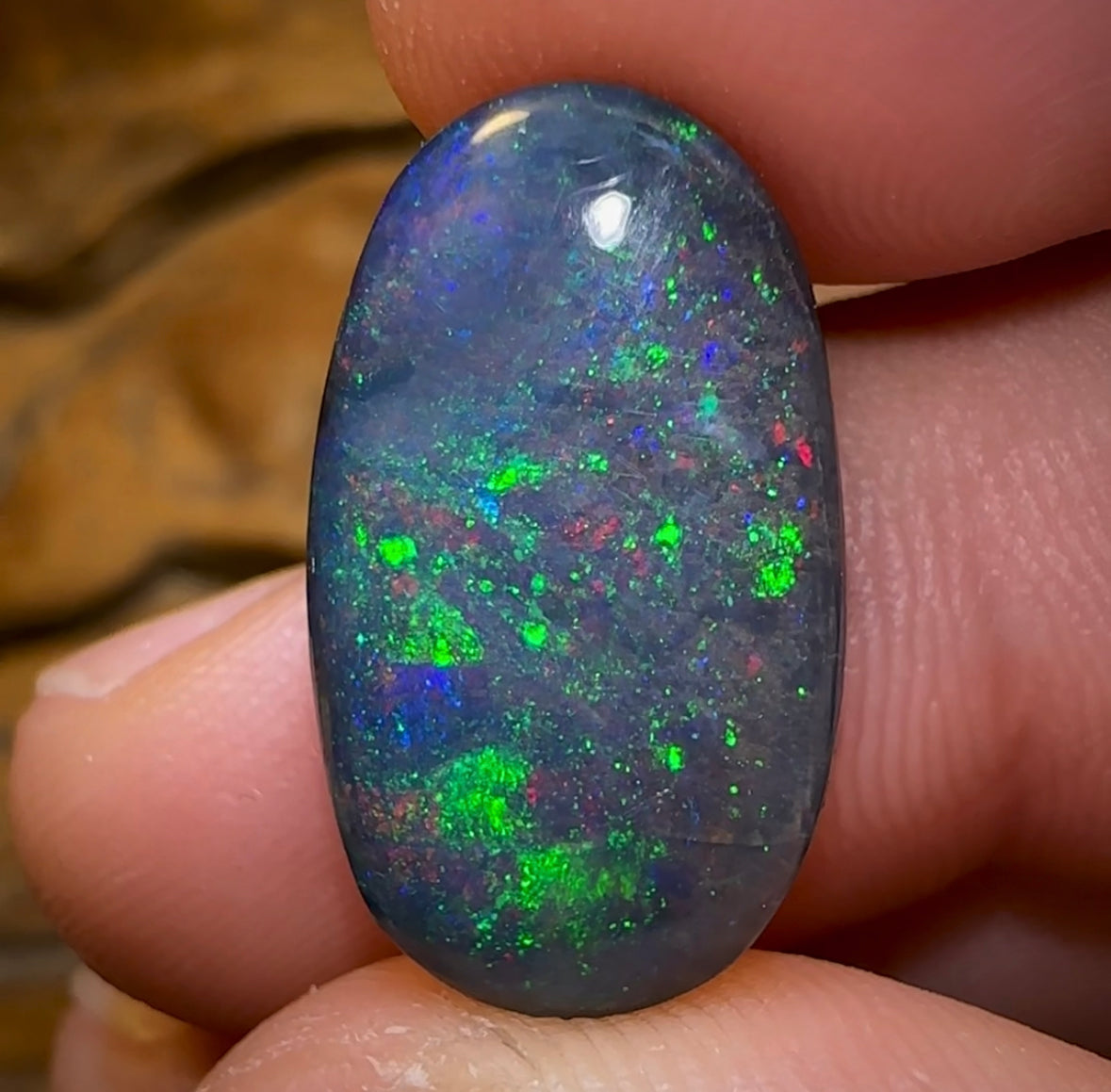 Opal Consultancy: Live Video Sessions with the Experts & Save Up to 30% - Opal Whisperers