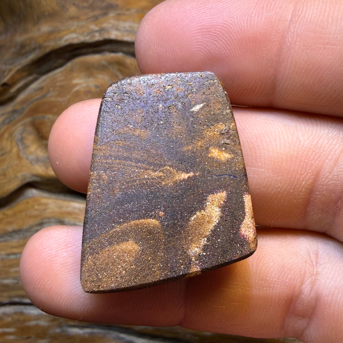 54.1cts - What Is It Large Australian Boulder Seam Opal Picture Stone
