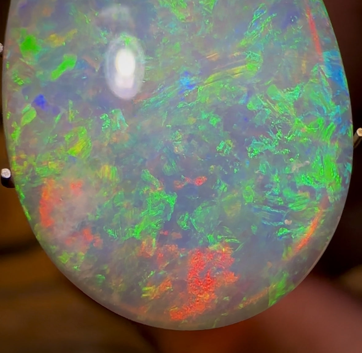 10.8cts - Large GEM Lightning Ridge Crystal Opal Heritage Collection