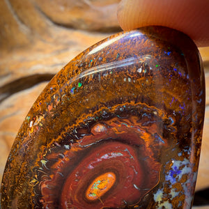 🔨 AUCTION 🔨 Reserve 💎 High Roller Banger Auction 💎 103.2cts - Big Tribal Yowah Nut Opal. Double Sided Bargain