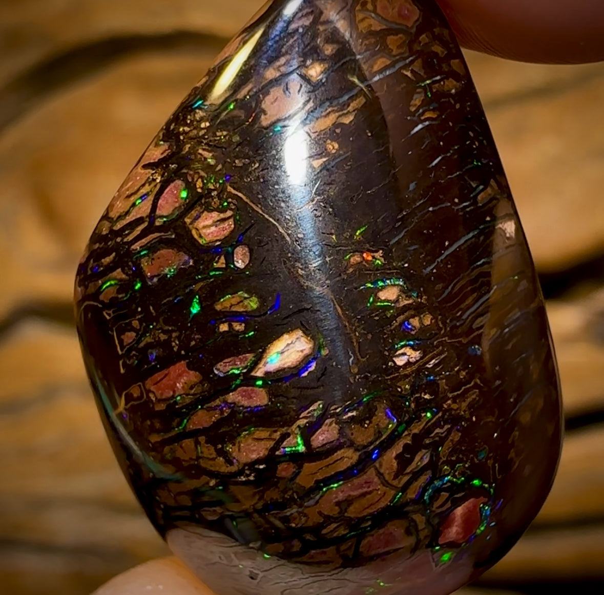 Auction Fall-Through = Your Gain! 🔥 Now More Than 50% Off RRP 🚨 43.8cts - Tribal Queensland Black Boulder Opal from Koroit. Great Cut