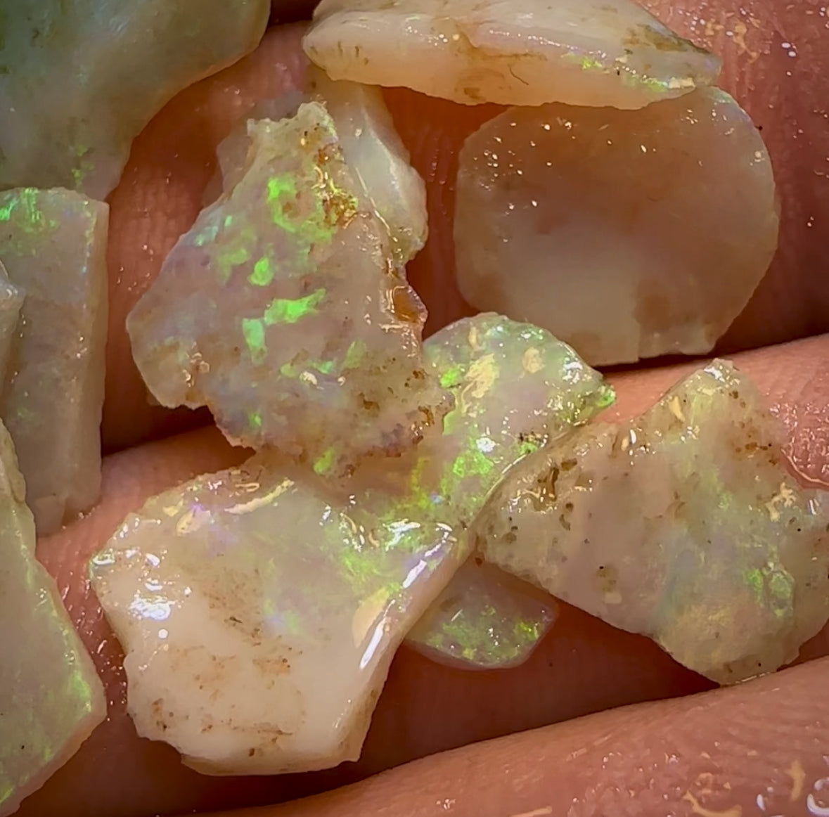 32.8cts - 13x Lightning Ridge Light Opal Rough Parcel