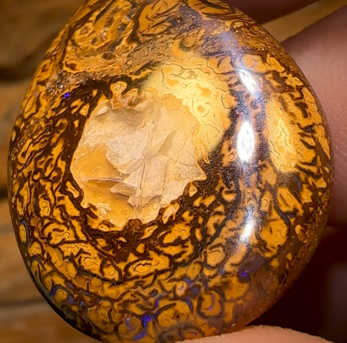 39.1cts - Yowah Nut Crystal Centre Opal. Australian Boulder Opal