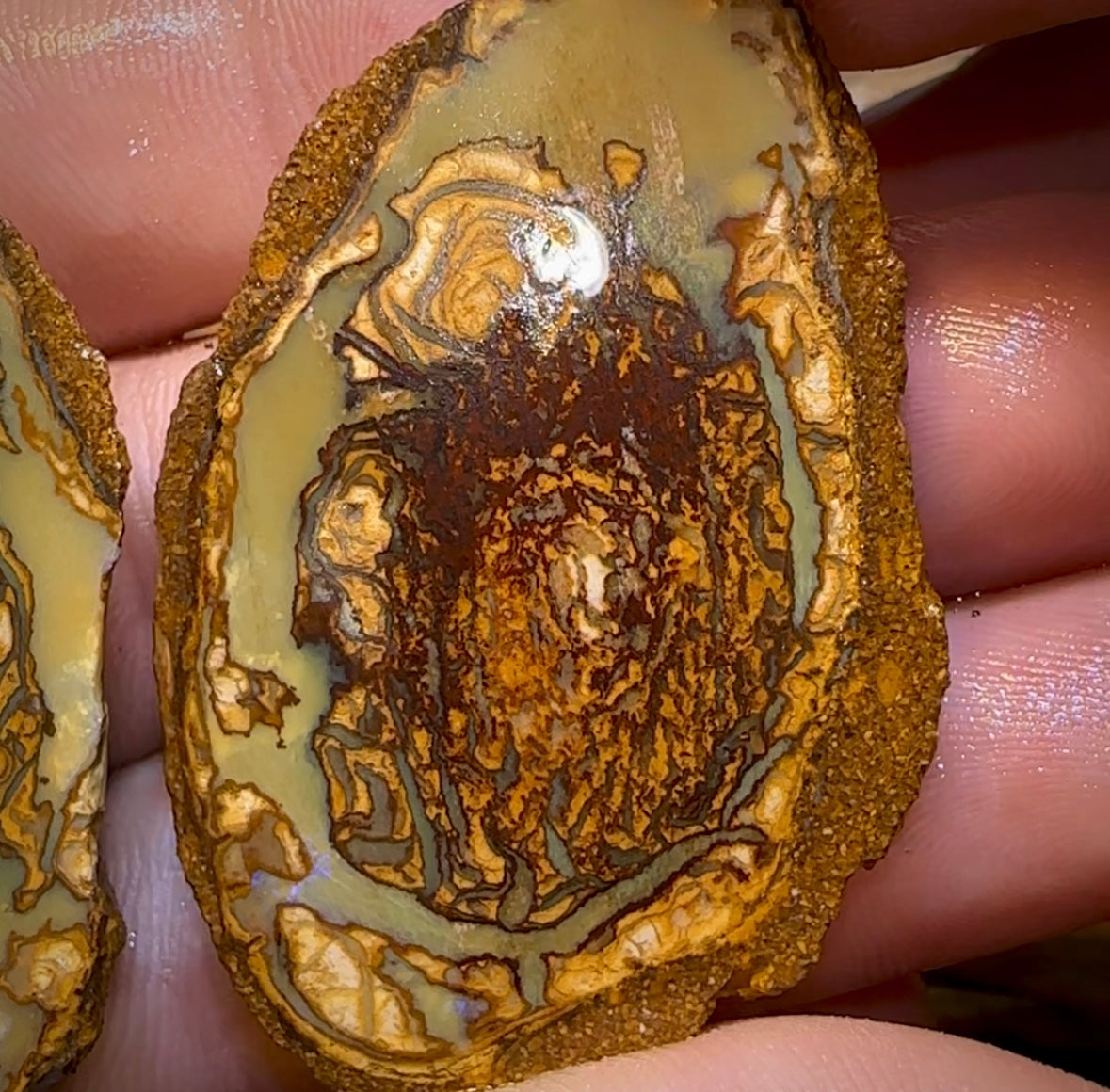 136.3cts - Yowah Nut Rough Specimen Pair. Australian Boulder Opal - Opal Whisperers