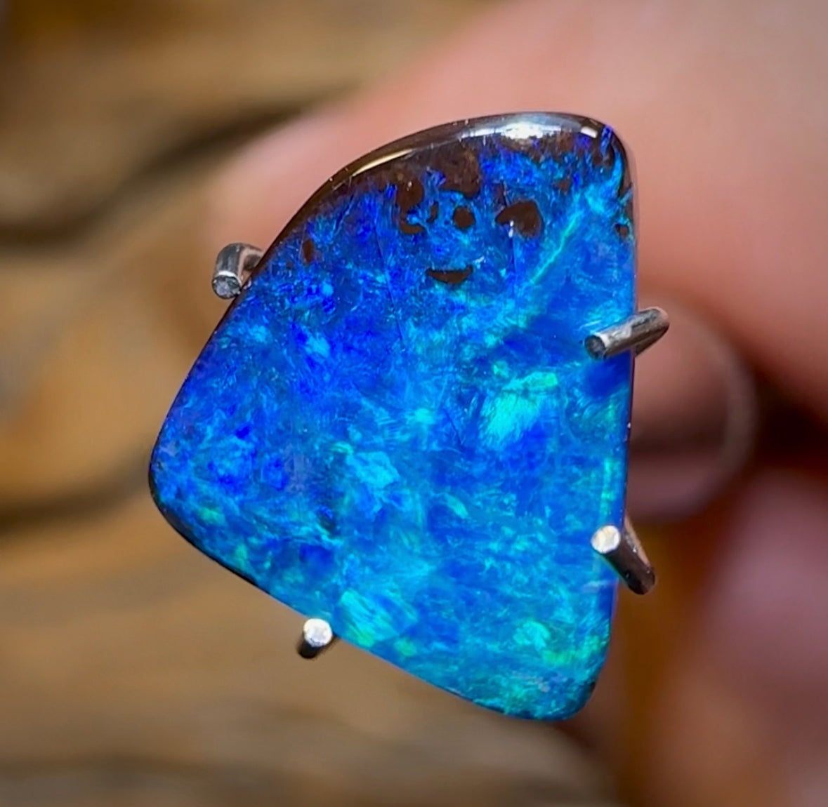 2.1cts - Queensland Boulder Opal from Winton - Opal Whisperers