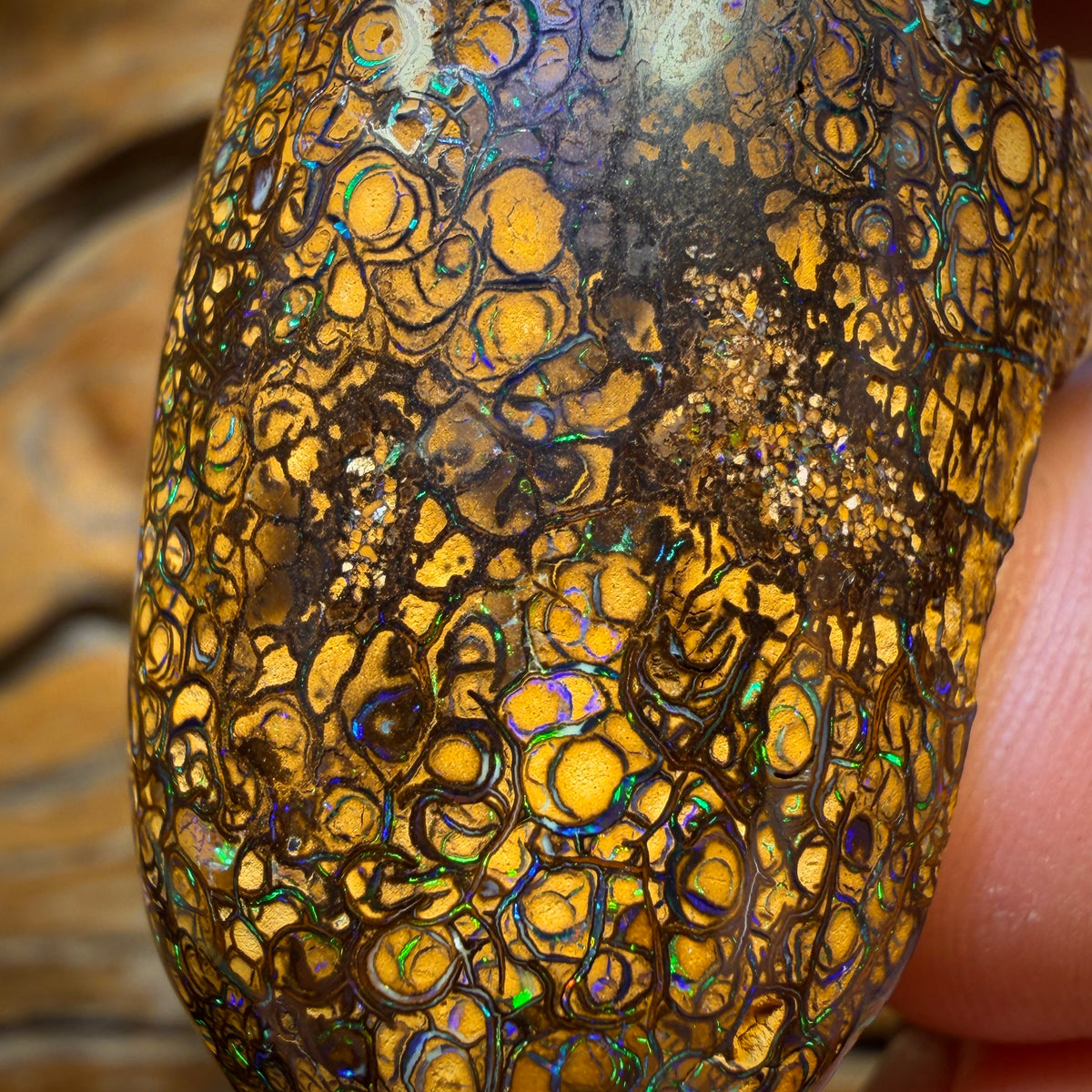 218.7cts - large Tribal Australian Boulder Opal Polished Specimen