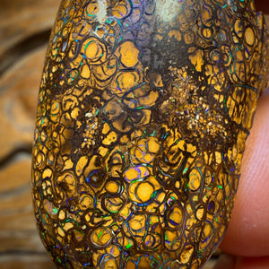 218.7cts - large Tribal Australian Boulder Opal Polished Specimen