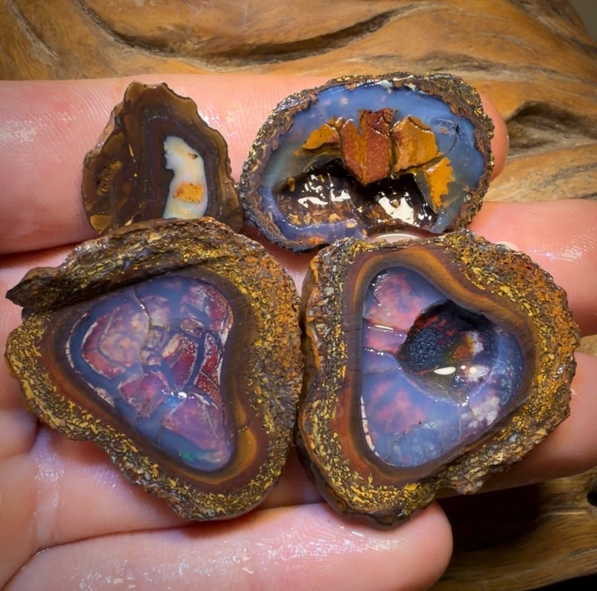 🔒152.7cts - 4x Yowah Nut Partial Crystal Centre Rough Specimen Parcel