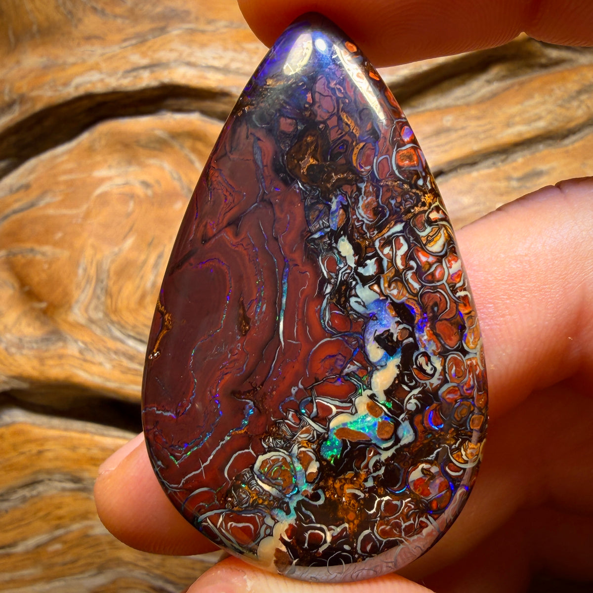96.7cts - Top Tribal Queensland Boulder Opal from Koroit