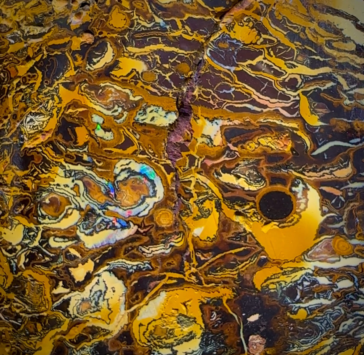 898.5cts - XLarge Tribal Queensland Boulder Opal. Polished Specimen ARTISTIC BARGAIN