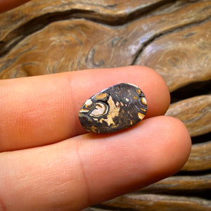 5.2cts - Multicolour Tribal Yowah Nut Opal