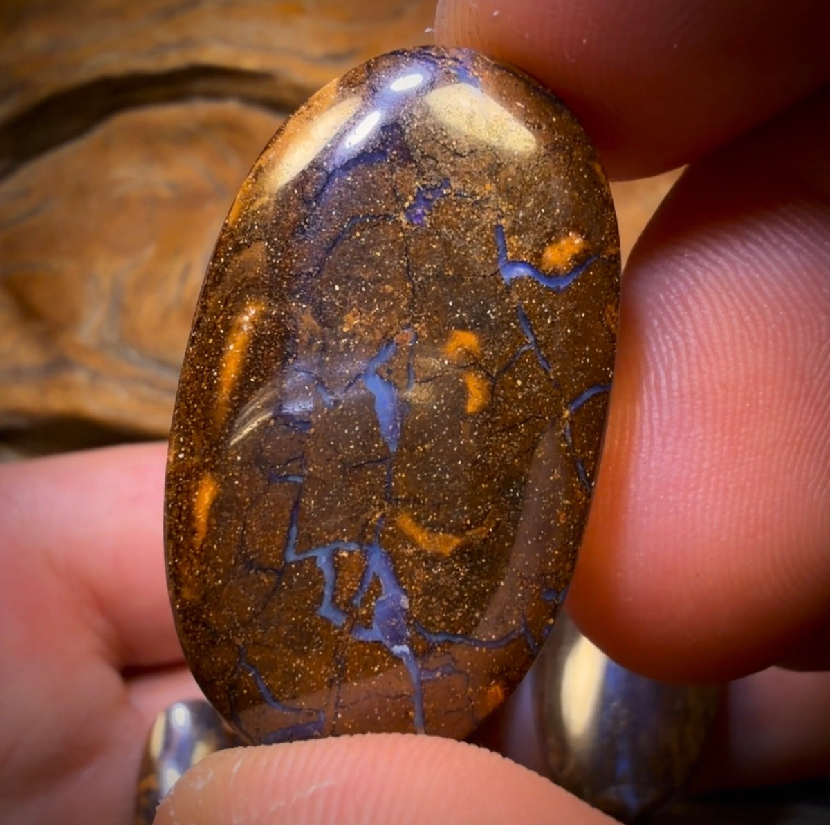 322.6cts - 10x Australian Boulder Seam Opal’s. Wholesale Dealers Parcel