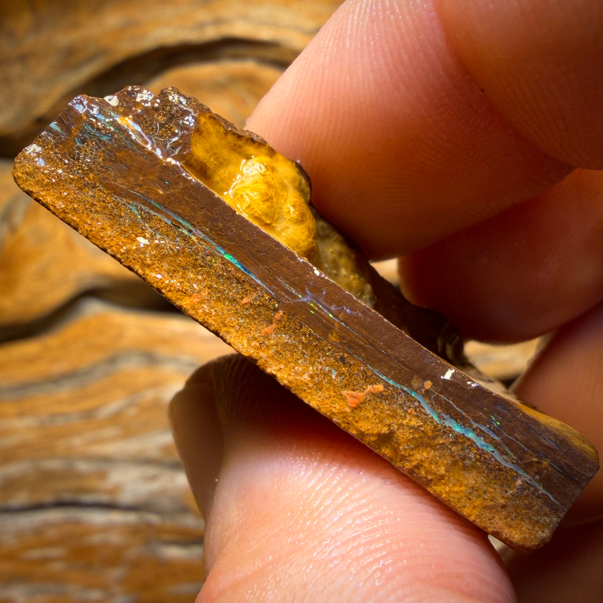 Half Price Card! 124cts - Yowah Opal Rough Piece. Biscuit Band Hit the Bar and Win Big!