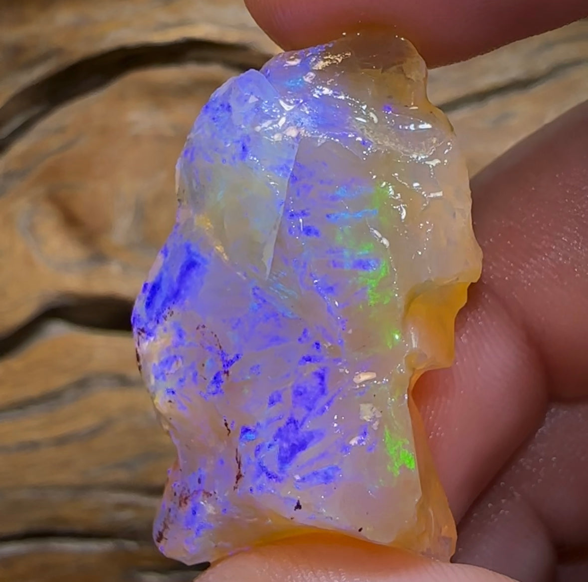 (Template) 50cts - Top Large Lightning Ridge Crystal Opal Rough Piece - Opal Whisperers