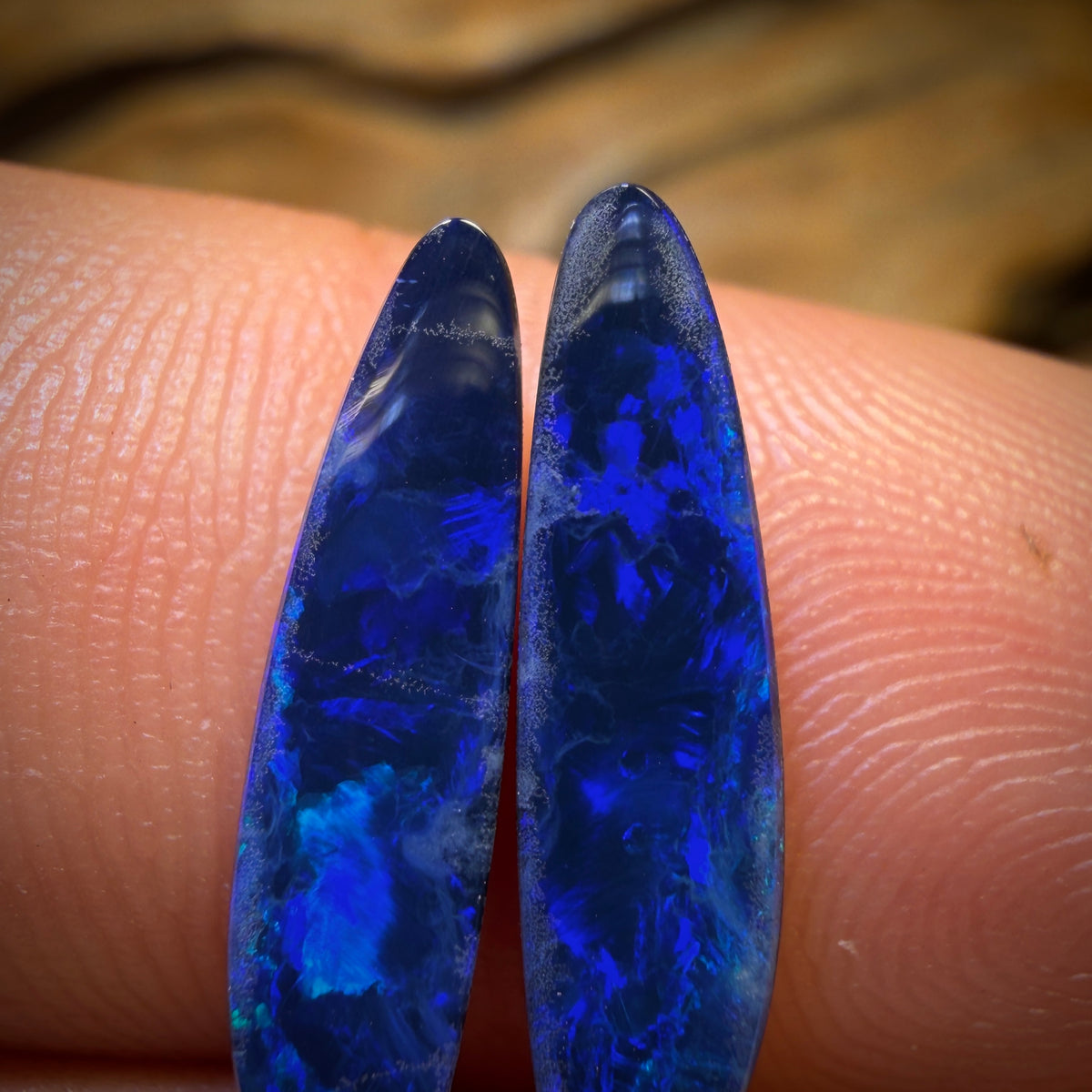 🔨 AUCTION 🔨 2.9cts - Australian Boulder Opal Doublet Pair. RECUTTER’S DELIGHT