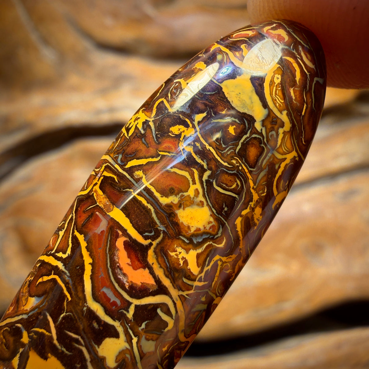 44cts - Awesome Tribal Koroit Nut Opal. Australian Opal