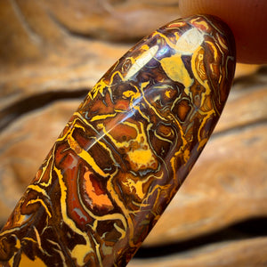 44cts - Awesome Tribal Koroit Nut Opal. Australian Opal