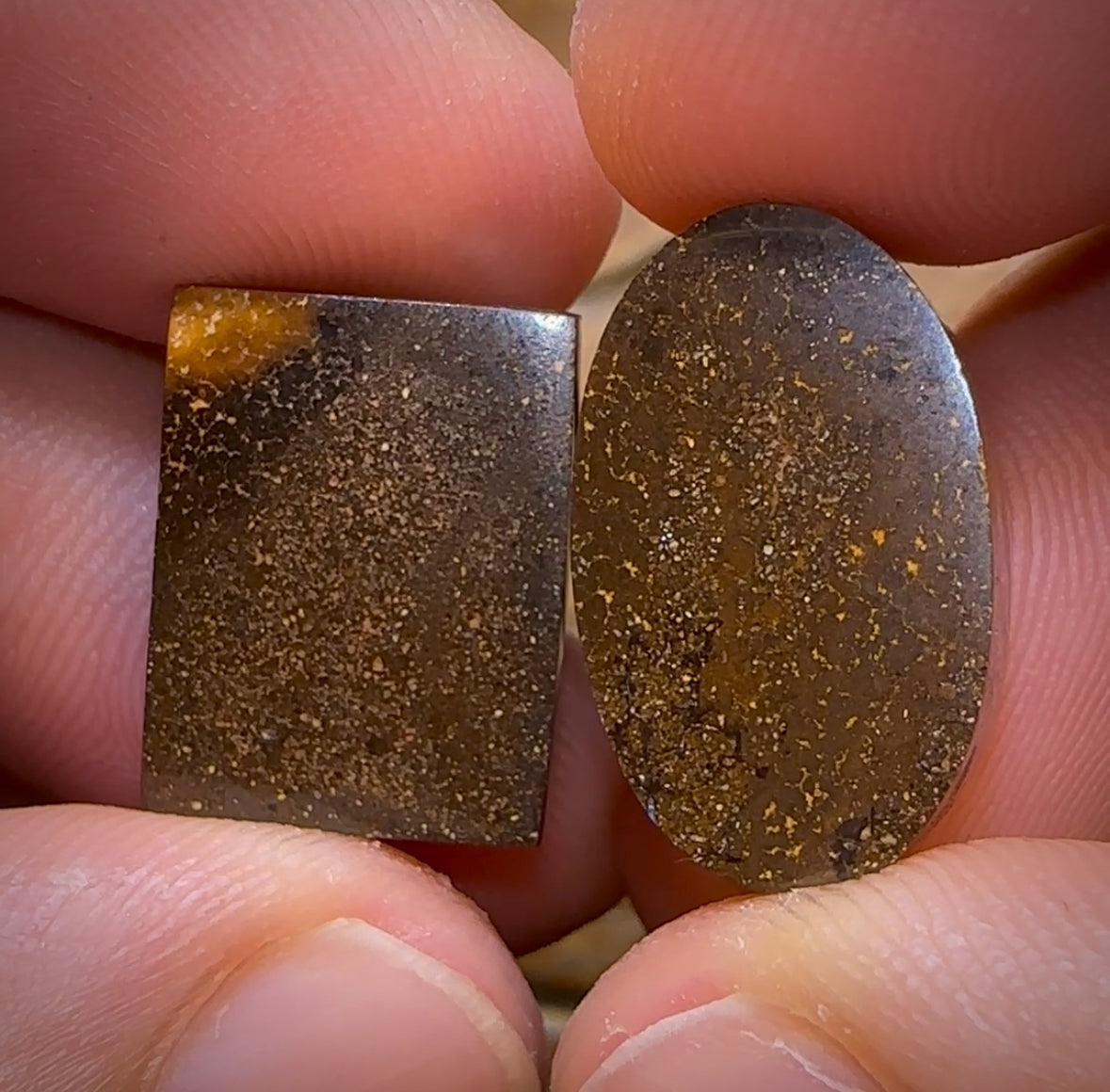 32.3cts - Australian Boulder Seam Opal Pair