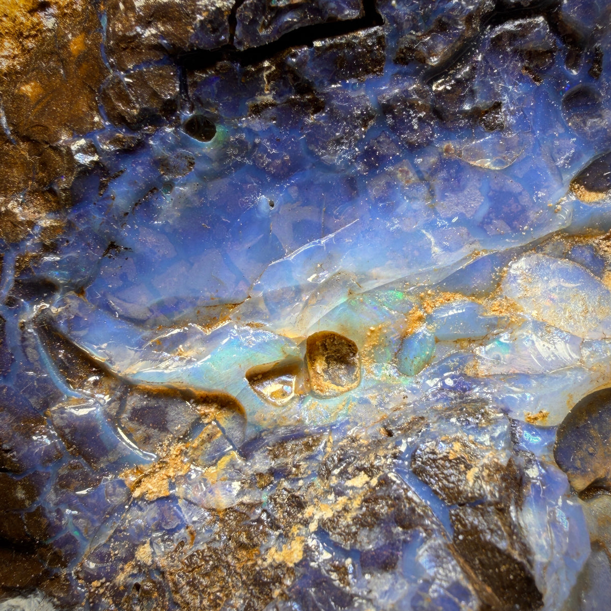 Half Price Bargain! 2119cts - Large Queensland Boulder Seam Opal Rough Piece Less than $0.50c/ct