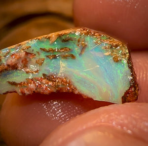 10.3cts - Queensland Boulder Pipe Opal Rough Piece