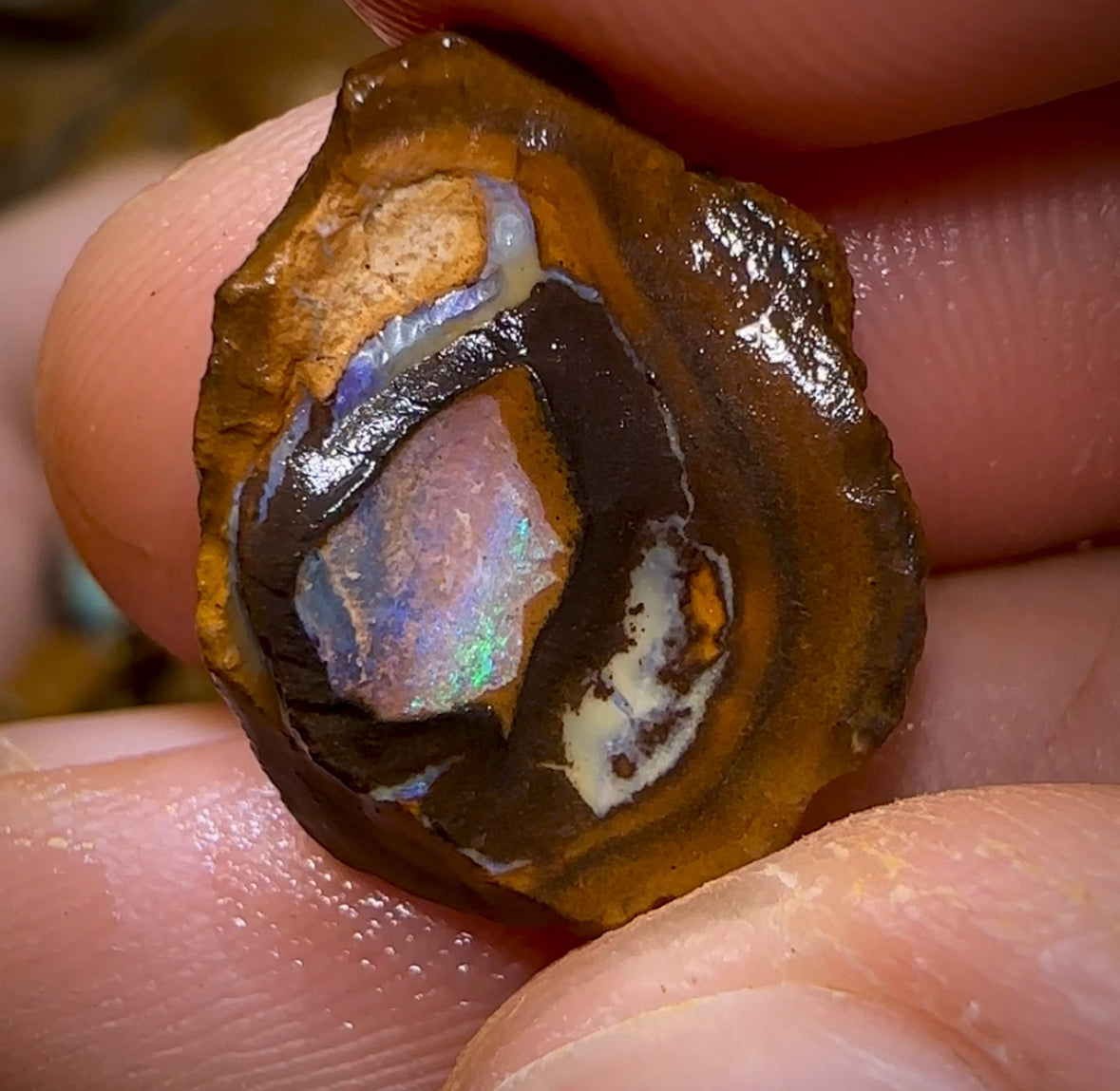 261.8g - 29x Yowah Nut Rough Pieces. Australian Opal With Kernel Crystal Centres. Less than $1/ct - Opal Whisperers
