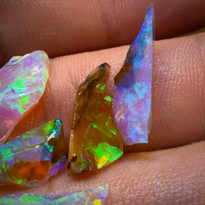 13.1cts - 7x Australian Yowah Wood Crystal Opal Rough Pieces. Highly Prized Material