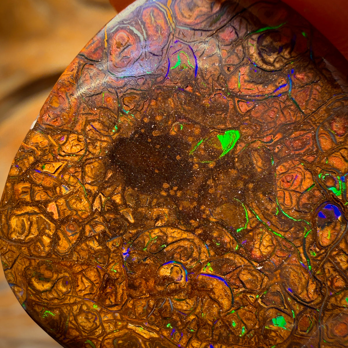 29.3cts - Tribal Yowah Nut Opal. Electric Green