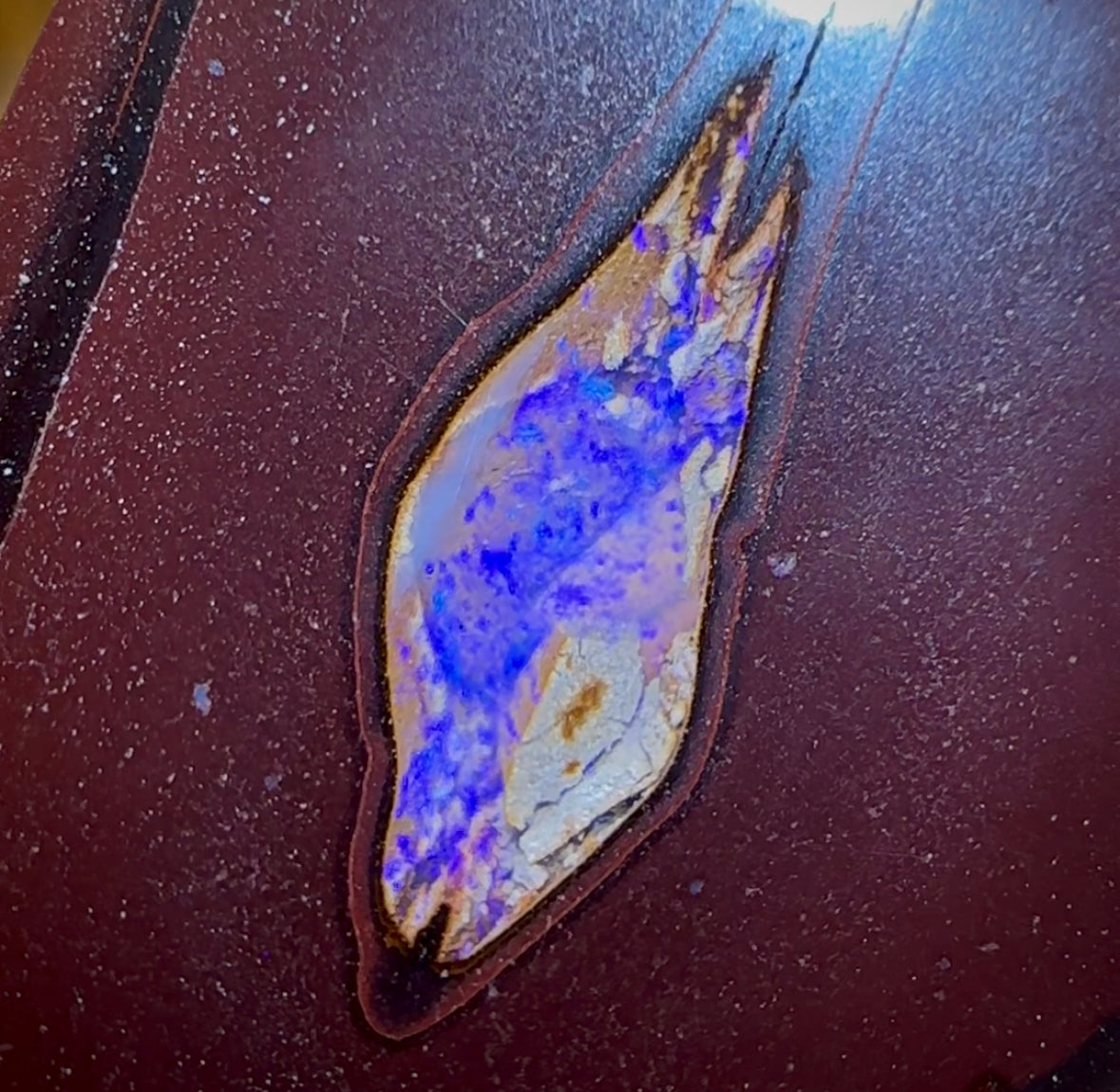 73.1cts - “Sweet Kernel Center” Yowah Nut Opal. Double Sided! - Opal Whisperers