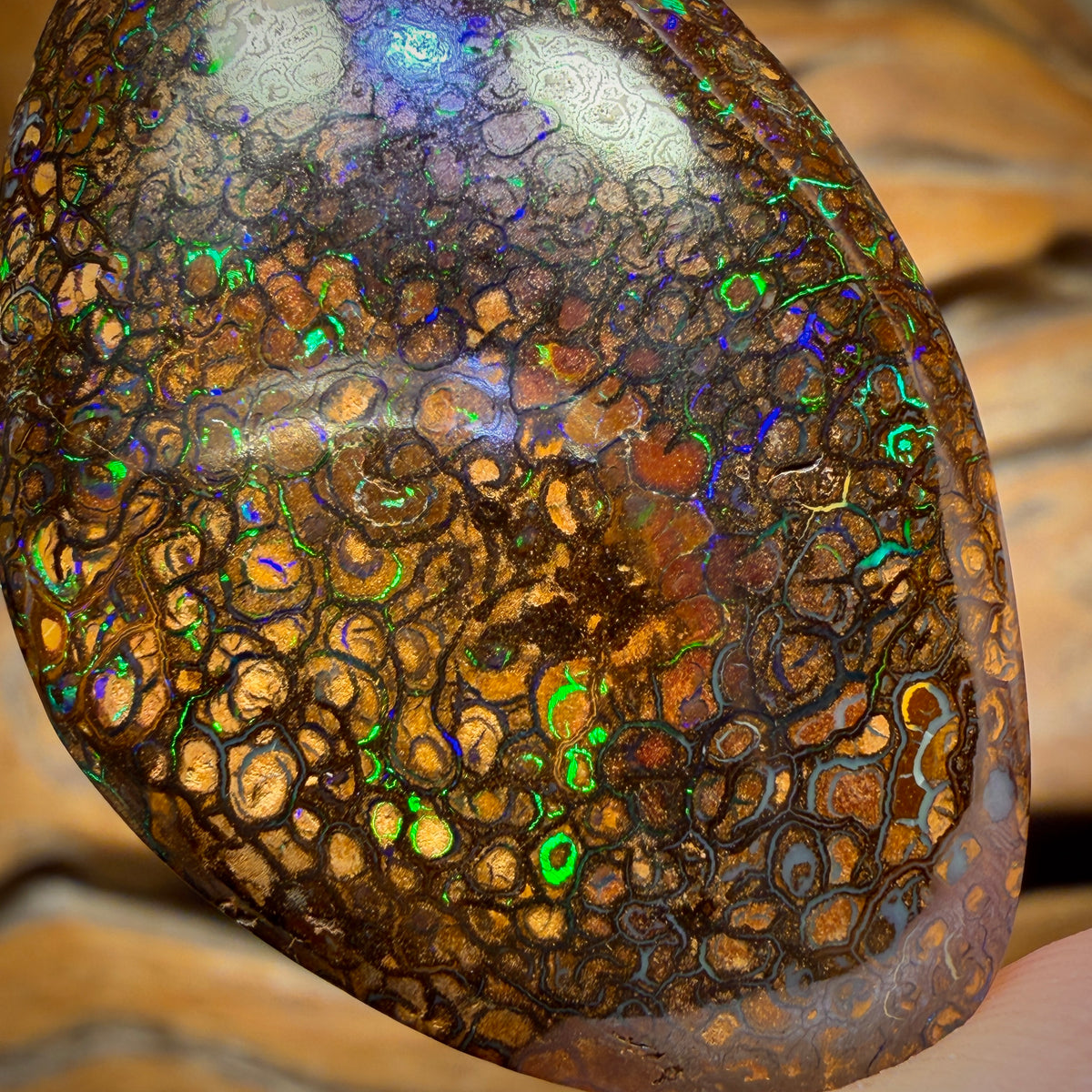 63,2 ct – Yowah Nut Tribal. Australischer Boulder-Opal