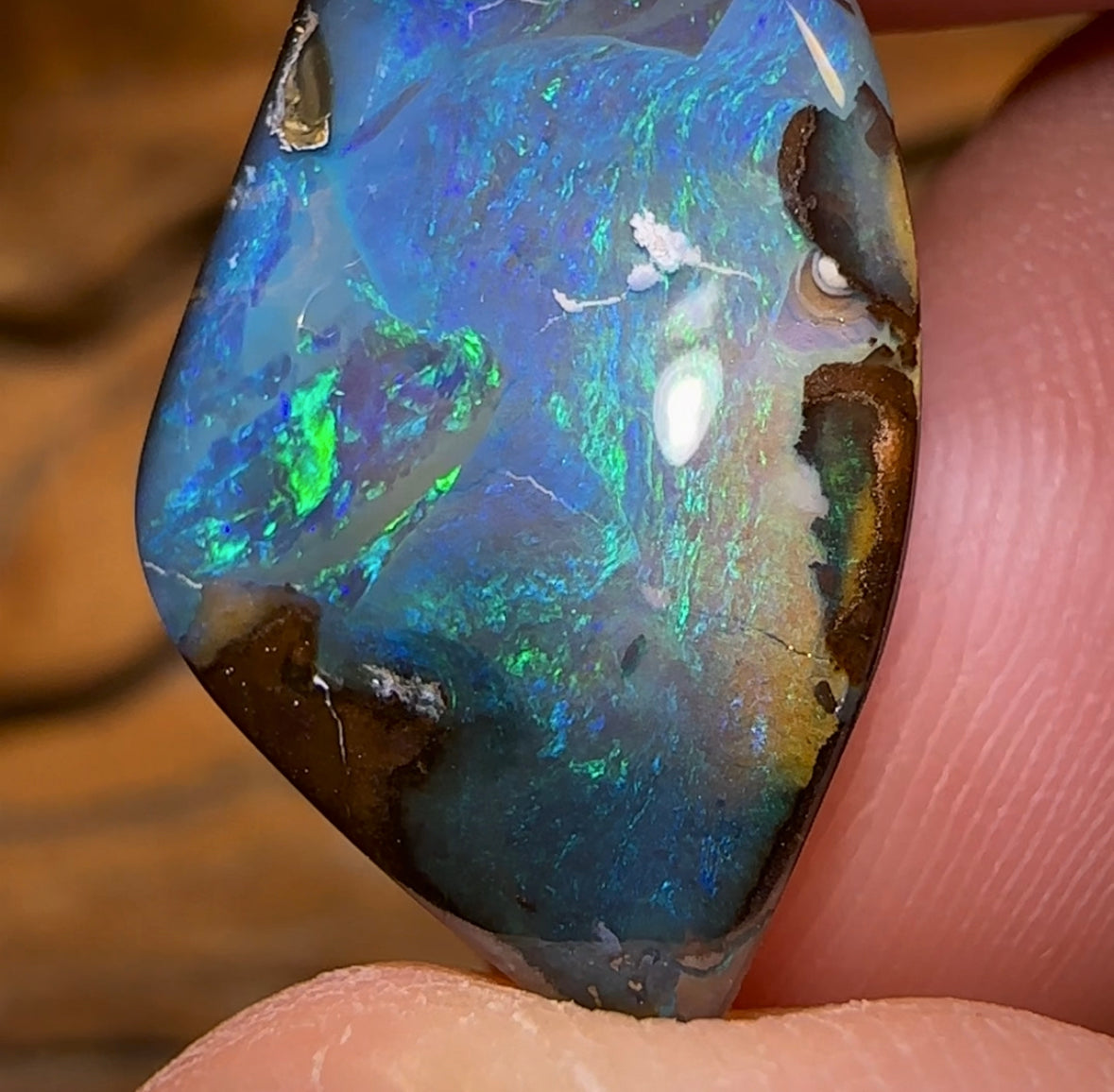 17.6cts - Queensland Boulder Opal from Winton - Opal Whisperers