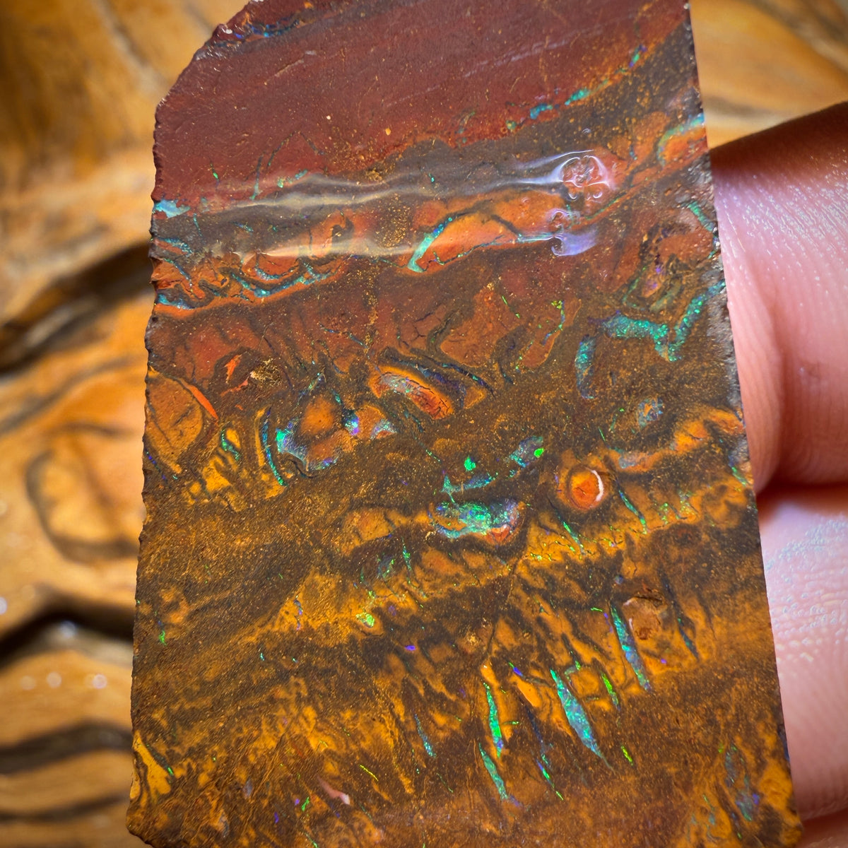 Wild Card! 146.6cts - Tribal Yowah Nut Opal Rough Slab