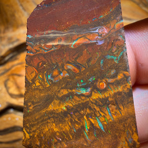 Wild Card! 146.6cts - Tribal Yowah Nut Opal Rough Slab