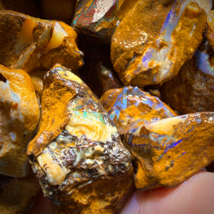 150g - Yowah Opalised Wood/Vegetation Fossil Rough Parcels. BULK LISTING!