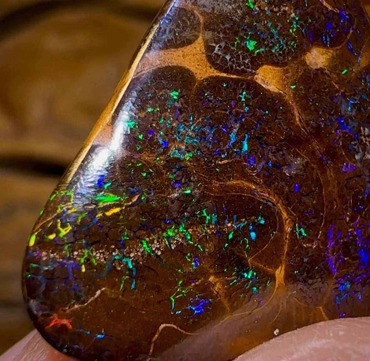 26.8cts - Bubble Band Opal from Winton