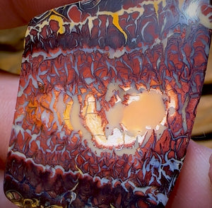 136.8cts - Tribal Koroit Nut Kernel Opal Pair