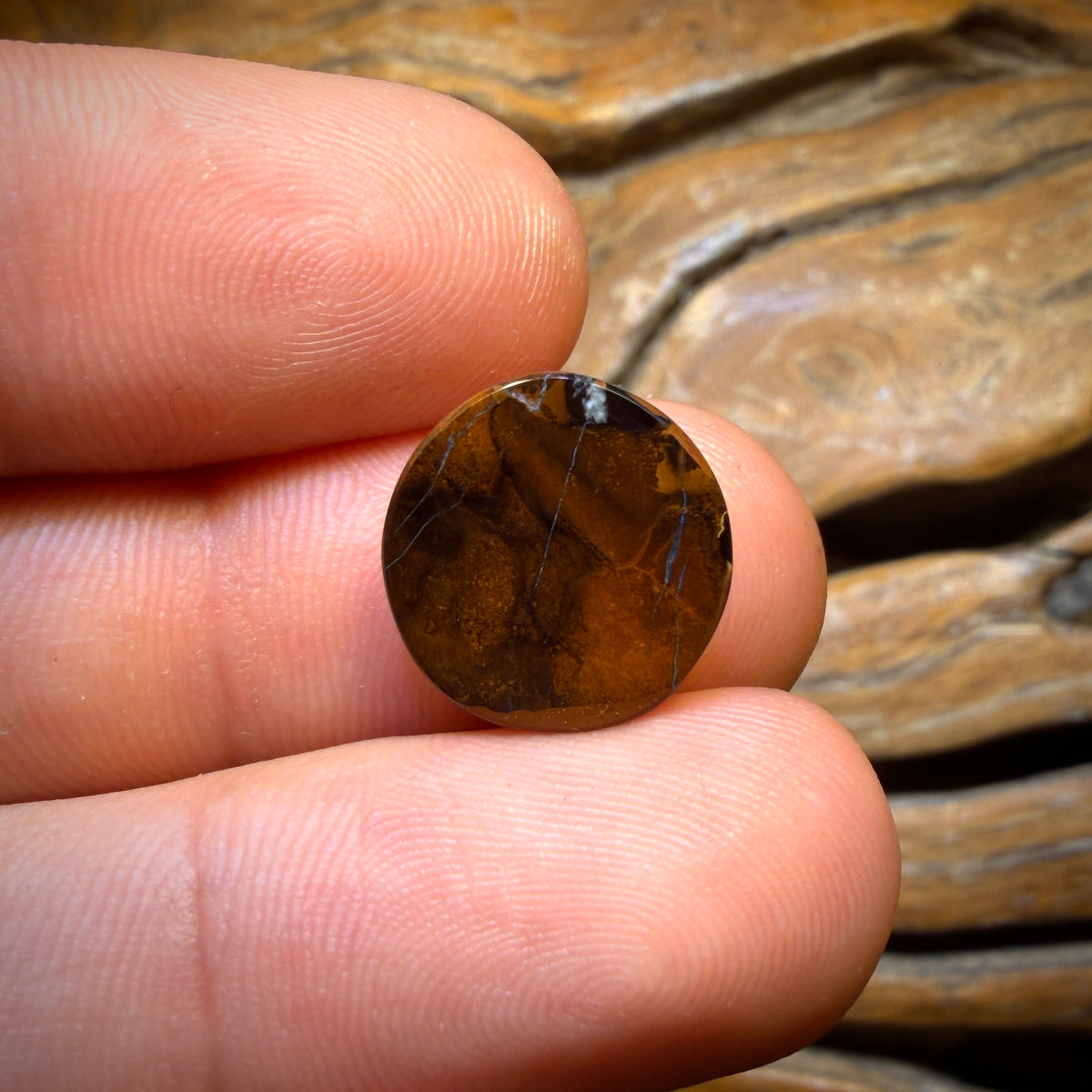 🔨 AUCTION 🔨 No Reserve 6.7cts - Queensland Boulder Opal from Yowah