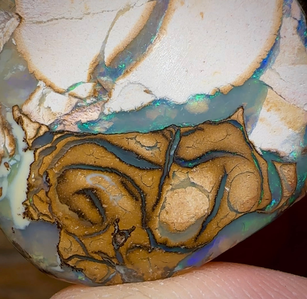 60.2cts - Yowah Nut “Porcelain Swan” White / Tan Tribal Opal. Australian Opal - Opal Whisperers