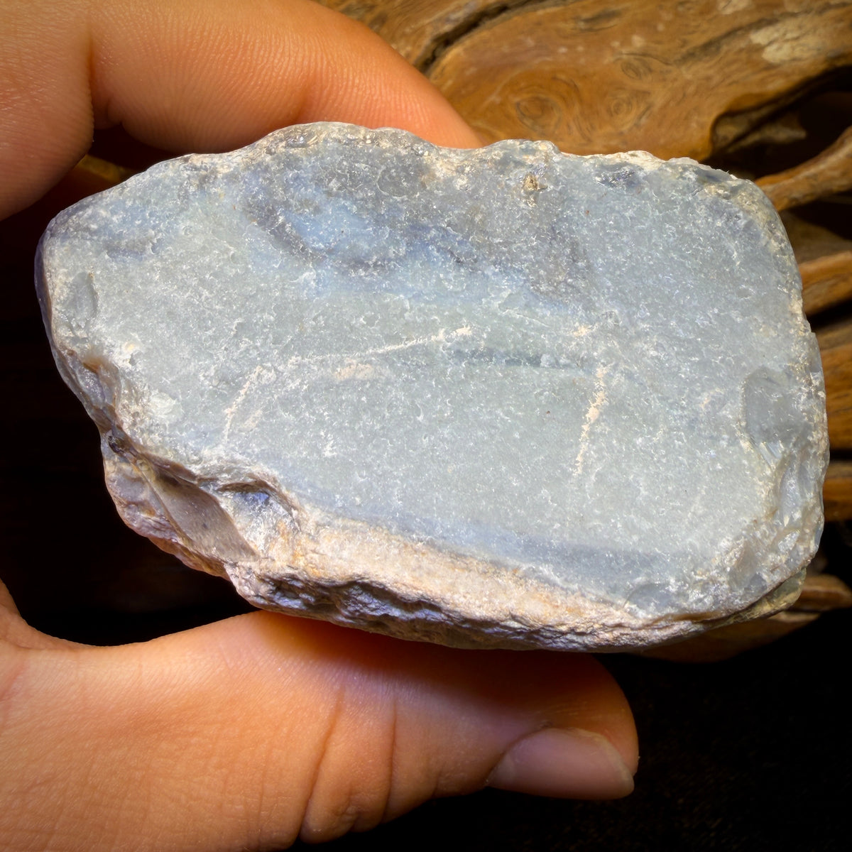 1646cts - HUGE Lightning Ridge Black Potch Opal Rough Piece